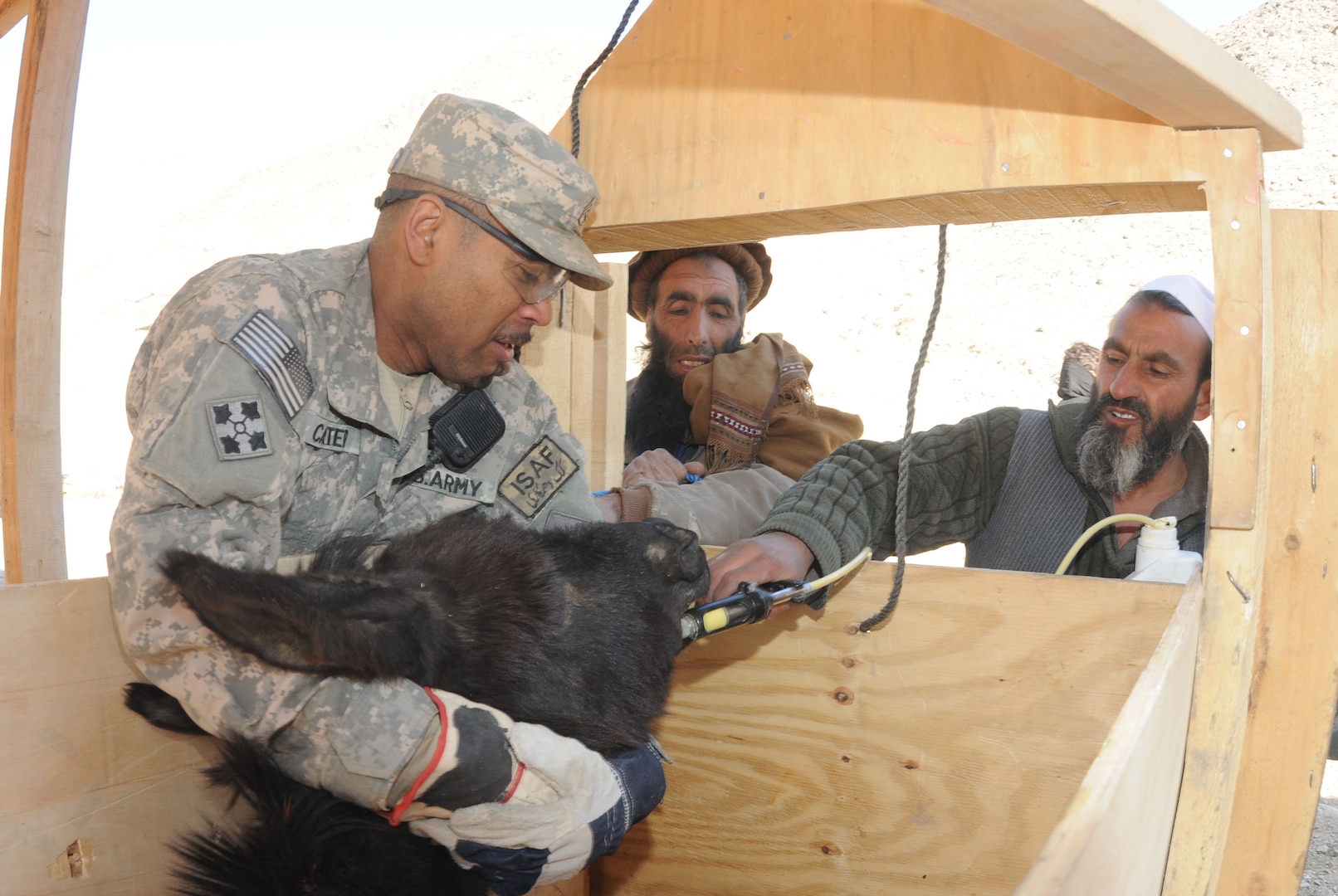 A local Afghan veterinarian works with U.S. Army Staff Sgt. John Carter (left), California National Guard's 40th Infantry Division Agribusiness Development Team security forces squad leader from Oakland, Calif., to help vaccinate farm animals near Camp Wright in Asadabad, Afghanistan, Jan. 15. The ADT worked hand-in-hand with village elders and Afghan veterinarians during a Veterinarian Civic Action Program event to administer vaccinations to more than 450 farm animals belonging to more than 100 local farmers. In addition to the vaccinations, local farmers who brought their animals received solar radios, booster packs of medicine to keep their animals healthy and local children were employed to help keep the animals corralled and the holding pens clean.