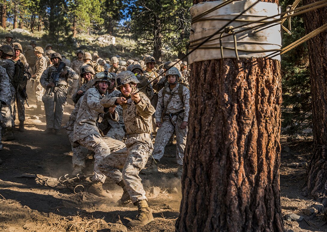 U.S. Marines with 3rd Battalion, 1st Marine Regiment tighten the slack on their line while training to build and cross rope bridges during Mountain Exercise 2014 aboard Marine Corps Mountain Warfare Training Center in Bridgeport, Calif., Aug. 27, 2014. Marines with 3rd Battalion, 1st Marine Regiment will become the 15th Marine Expeditionary Unit’s ground combat element in October. Mountain Exercise 2014 develops critical skills the battalion will need during deployment.