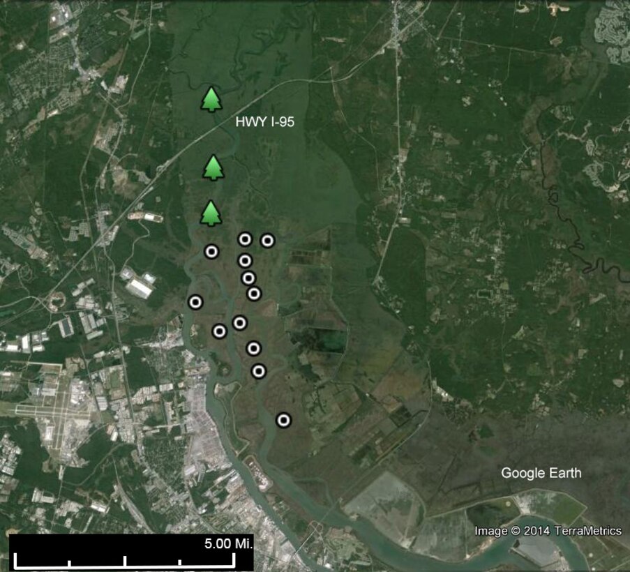 Researchers with Clemson University set up monitoring stations at 12 marsh sites along the Savannah River estuary and at three tidal freshwater forest areas upstream as part of an environmental monitoring effort for the Savannah Harbor Expansion Project.