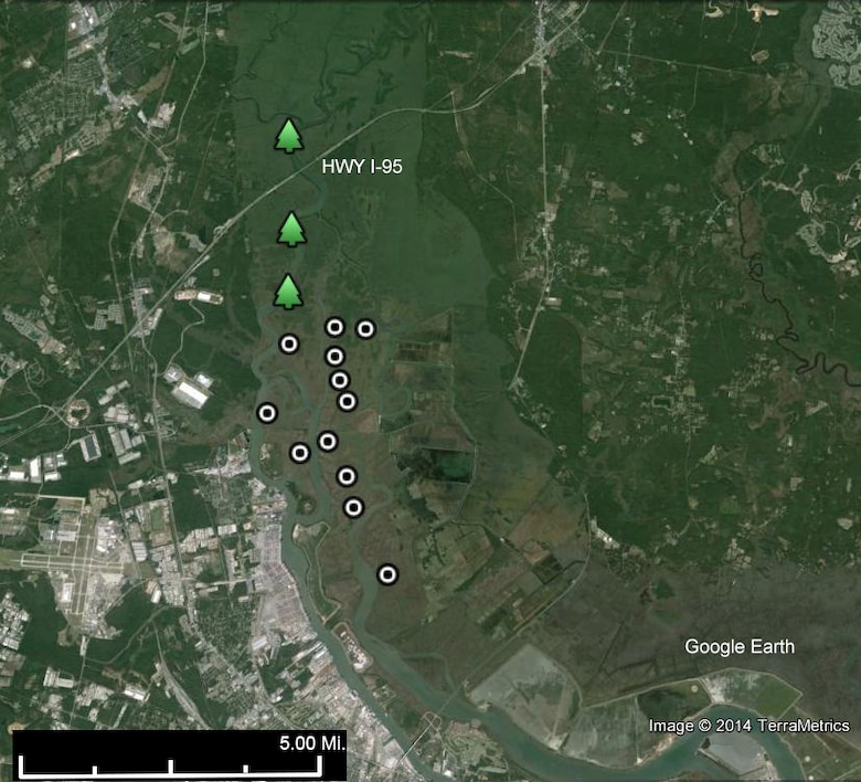 Researchers with Clemson University set up monitoring stations at 12 marsh sites along the Savannah River estuary and at three tidal freshwater forest areas upstream as part of an environmental monitoring effort for the Savannah Harbor Expansion Project.