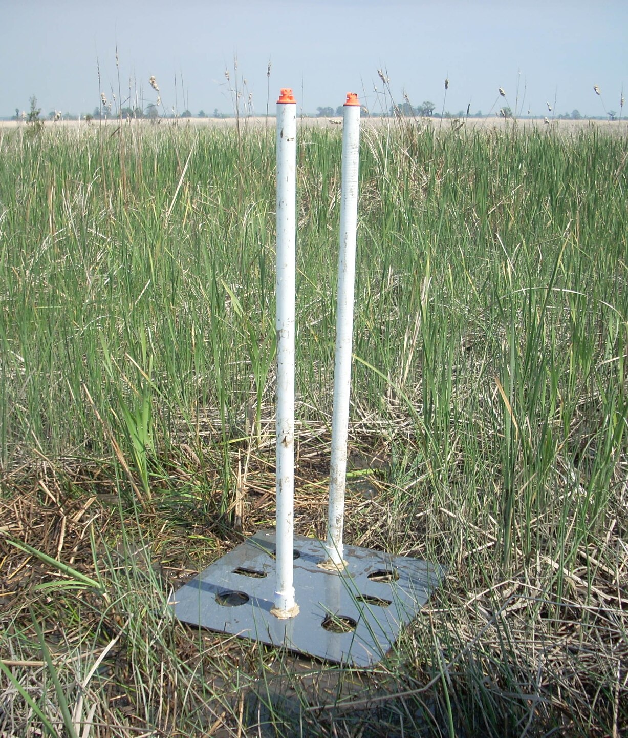 Researchers with Clemson University set up monitoring stations like the one pictured here at 12 marsh sites along the Savannah River estuary. The stations collect data on an hourly basis for water elevation, above ground salinity and below ground salinity.