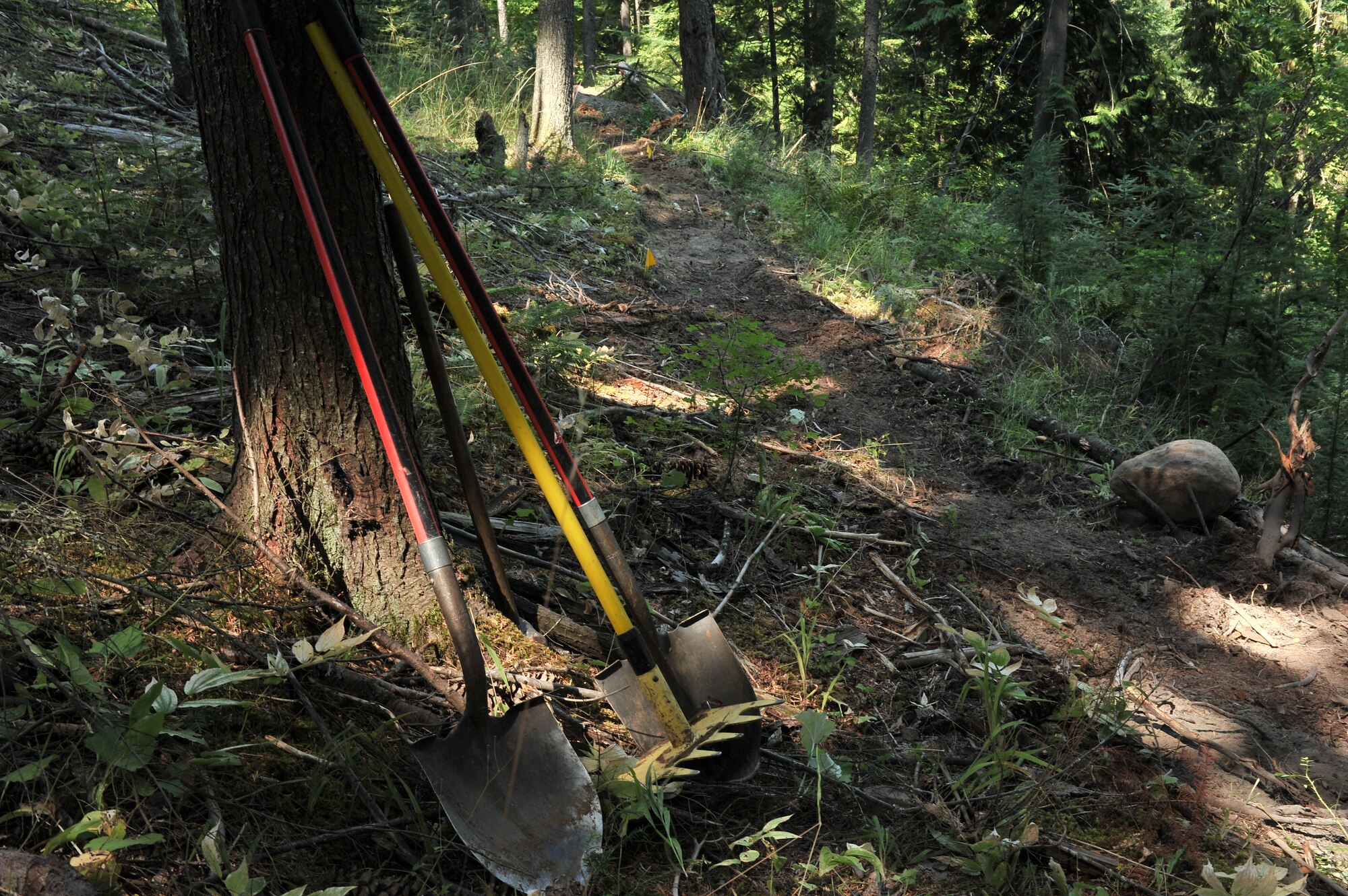 Airmen from the 22nd Training Squadron cleared trail paths with family and friends as part of their resiliency and team-building activity on Tubbs Hill in Coeur d’Alene, Idaho, August 11, 2014. A team of about 30 volunteers from the 22nd TRS and SERE Solutions Inc., along with family friends, participated in a two day team building and resiliency event that ended with an overnight stay at a local campground, followed by a 15 mile bike ride down the historic Hiawatha Trail in Wallace, Idaho, that crosses the Montana border.  (U.S. Air Force photo by Staff Sgt. Alexandre Montes/Released)