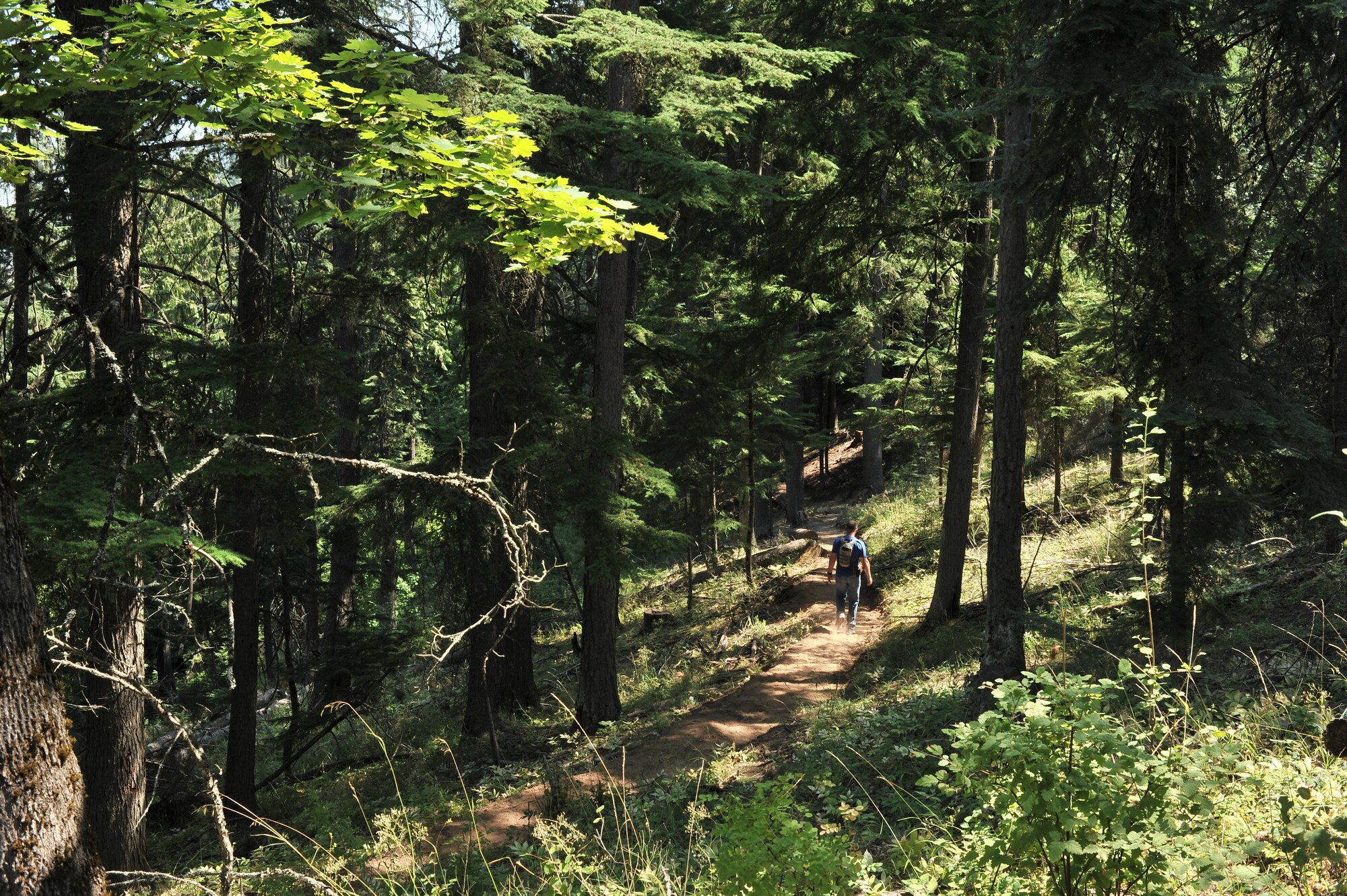 An Airmen from the 22nd Training Squadron walks through a cleared trail on Tubbs Hill in Coeur d’Alene, Idaho, August 11, 2014. A team of about 30 volunteers from the 22nd TRS and SERE Solutions Inc., along with family friends, participated in a two day team building and resiliency event that ended with an overnight stay at a local campground, followed by a 15 mile bike ride down the historic Hiawatha Trail in Wallace, Idaho, that crosses the Montana border.  (U.S. Air Force photo by Staff Sgt. Alexandre Montes/Released)