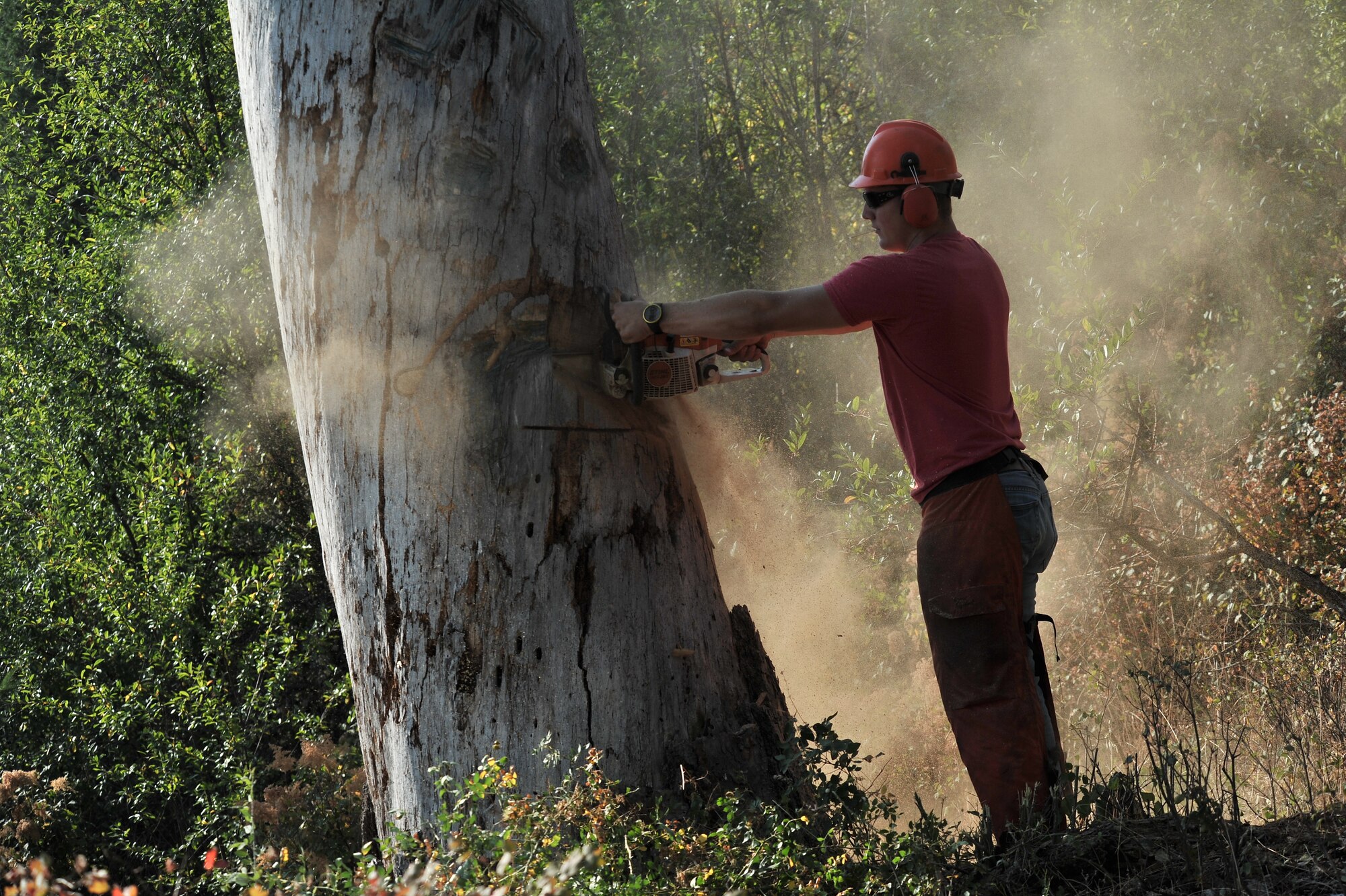 An Airmen from the 22nd Training Squadron uses a chainsaw to remove vandalism from a tree to help renovate  trail paths as part of a resiliency and team-building activity on Tubbs Hill in Coeur d’Alene, Idaho, August 11, 2014. A team of about 30 volunteers from the 22nd TRS and SERE Solutions Inc., along with family friends, participated in a two day team building and resiliency event that ended with an overnight stay at a local campground, followed by a 15 mile bike ride down the historic Hiawatha Trail in Wallace, Idaho, that crosses the Montana border.  (U.S. Air Force photo by Staff Sgt. Alexandre Montes/Released)