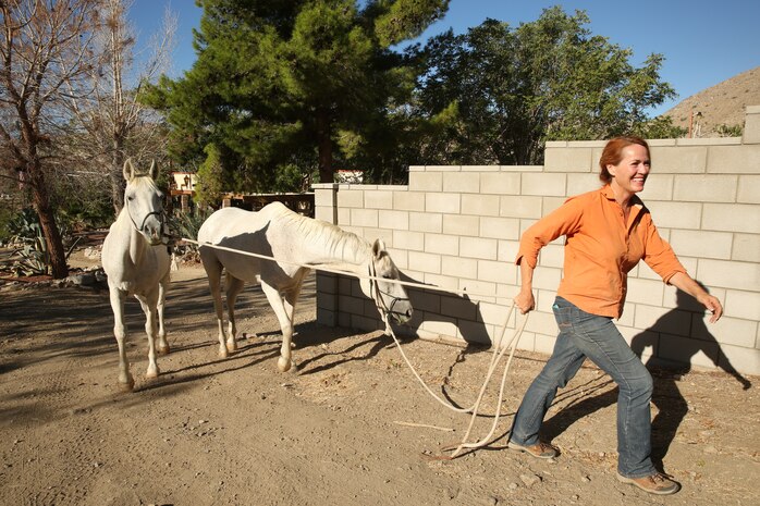 Jacklyn Wilson, owner, Crazy Horse Ranch, leads two horses to prepare them for saddle mounting during a volunteer event for Marines at Crazy Horse Ranch. The ranch offers trail rides, personal lessons and occasional clinics for groups, Aug. 24, 2014.