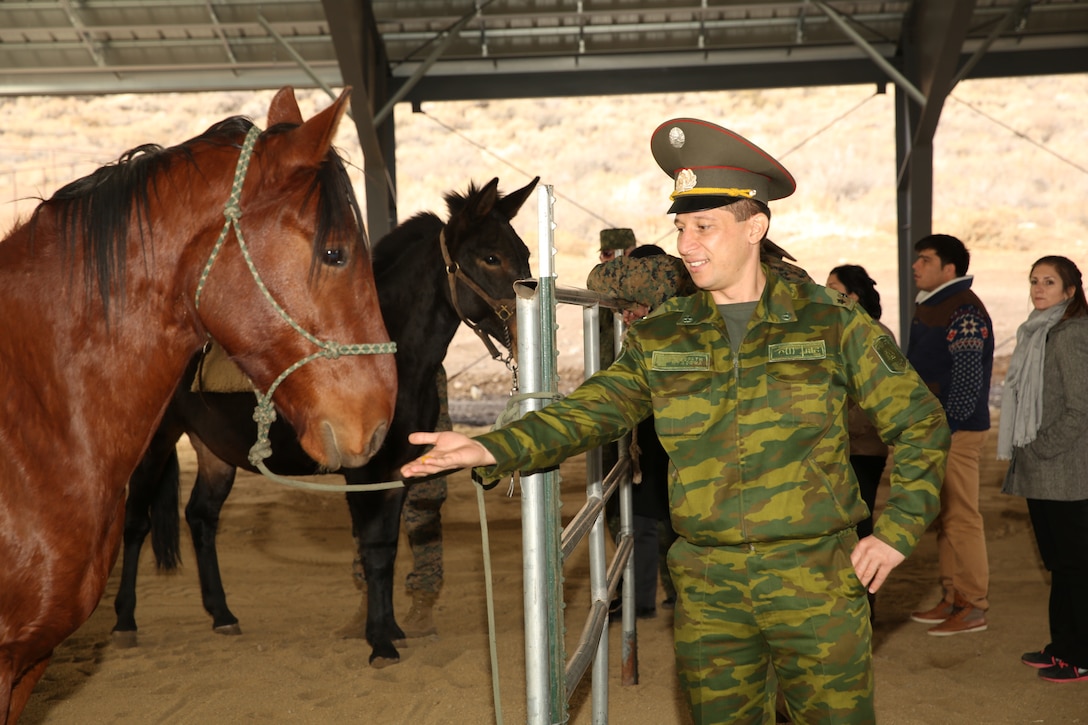 Col. Jahongir Nazaraliev, chief personnel directorate, Tajikistan Ministry of Defense, feeds a mustang at the base stables aboard the Mountain Warfare Training Center, Bridgeport, Calif., Nov. 19. Horses such as mustangs are used for transportation and mules are used as pack animals for carrying heavy gear. (Official Marine Corps  photo by Lance Cpl. Thomas Mudd/Released)