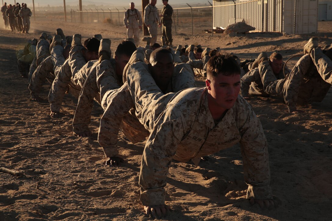 Marines and sailors of 3rd Light Armor Reconnaissance Battalion, conduct buddy push-ups during the first event of the 3rd LAR field meet aboard the Combat Center, Nov. 20, 2014. The competition spanned 10 miles and included seven different events. (Official Marine Corps photo by Pfc. Medina Ayala-Lo/Released)