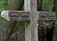 A memorial stands in the forests of the Eglin Air Force Base range in memory of the four fallen Rangers who lost their lives Feb. 16, 1995. More than 40 Soldiers participated in an excursion to the memorial that followed in the footsteps of the tragic squad Sept. 25 to learn from their experience and understand what took place that night almost 20 years ago.