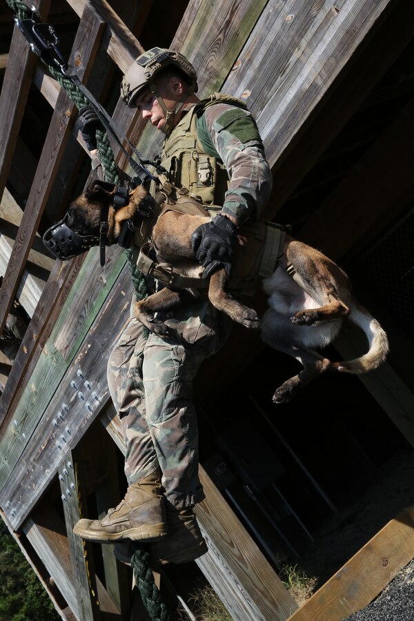 A Multi-Purpose Canine handler, with U.S. Marine Corps Forces Special Operations Command, fast-ropes with his canine aboard Stone Bay, Oct. 1, 2014. As MARSOC continues to demonstrate their capabilities and versatilities, MPC handlers with the command are preparing themselves and their canines for new areas of operation they’ll be deploying to. (U.S. Marine Corps Photo by Cpl. Steven Fox/Released)