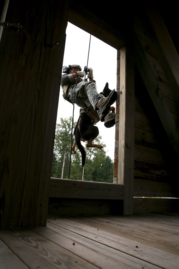 A Multi-Purpose Canine handler, with U.S. Marine Corps Forces Special Operations Command, repels down a structure aboard Stone Bay, Oct. 2, 2014. As MARSOC continues to demonstrate their capabilities and versatilities, MPC handlers with the command are preparing themselves and their canines for new areas of operation, they’ll be deploying to. (U.S. Marine Corps Photo by Cpl. Steven Fox/Released)