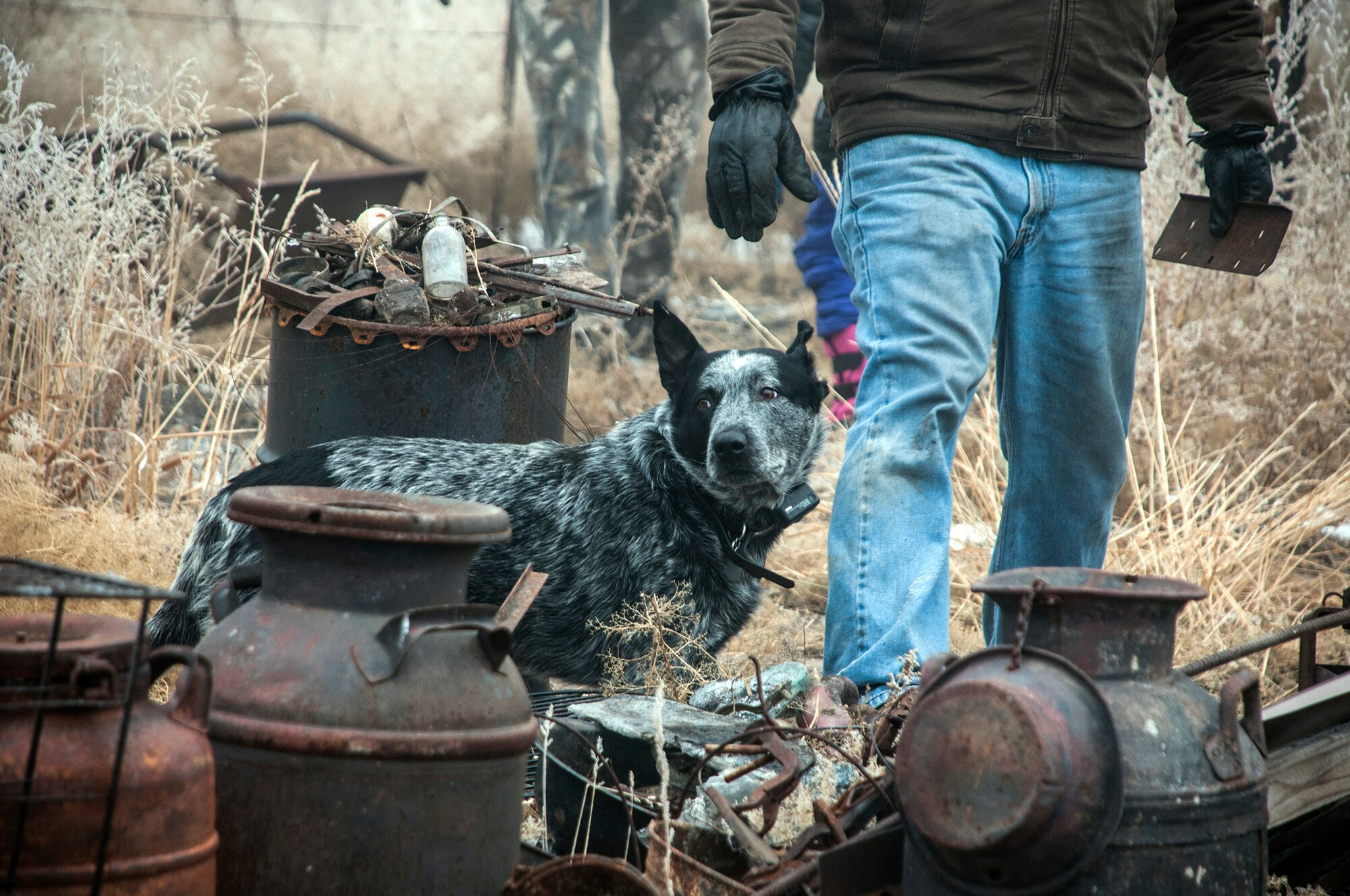 Ginny Vinson’s pet dog runs around Nov. 26, 2014, at Black Forest, Colo., as members of the 25th and 379th Space Range Squadrons help with the cleanup and rebuilding of Vinson’s residence. This was part of the squadrons’ volunteer effort through Black Forest Together. (U.S. Air Force photo/Staff Sgt. Julius Delos Reyes)
