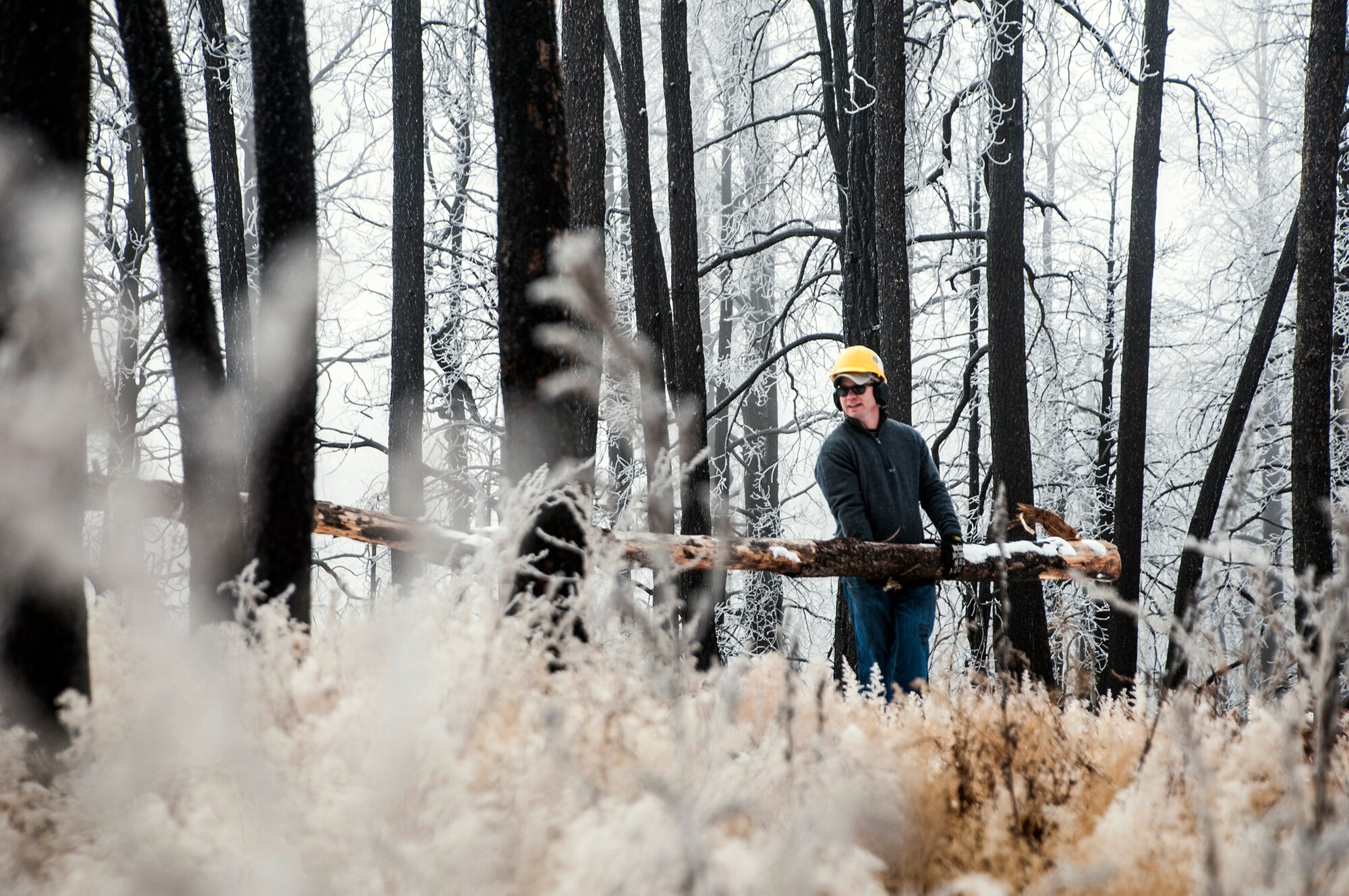 Capt. Brian Justus, 25th Space Range Squadron, carries burnt wood Nov. 26, 2014, at Black Forest, Colo., as part of a volunteer effort with the Black Forest Together. The organization helps residents recover from the Black Forest fire and mitigate future forest fires. (U.S. Air Force photo/Staff Sgt. Julius Delos Reyes)