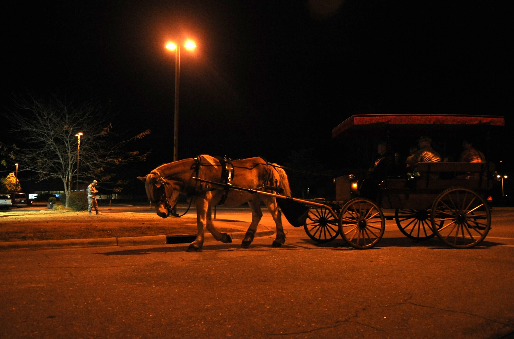 Joanna Arias and her carriage horse, Clover, take a group for a spin during the base tree lighting ceremony at Seymour Johnson Air Force Base, North Carolina, Dec. 1, 2014. A carriage ride was one of the many holiday activities featured throughout the night. (U.S. Air Force photo/Senior Airman Ashley J. Thum)