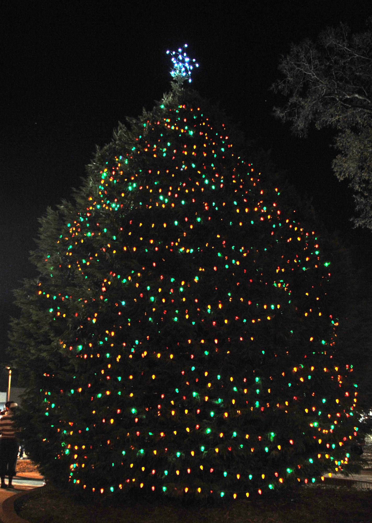 The base tree lights up the night at Seymour Johnson Air Force Base, North Carolina, Dec. 1, 2014. Col. Mark Slocum, 4th Fighter Wing commander, enlisted the help of some of Team Seymour’s younger members to throw the switches to light the tree. (U.S. Air Force photo/Senior Airman Ashley J. Thum)