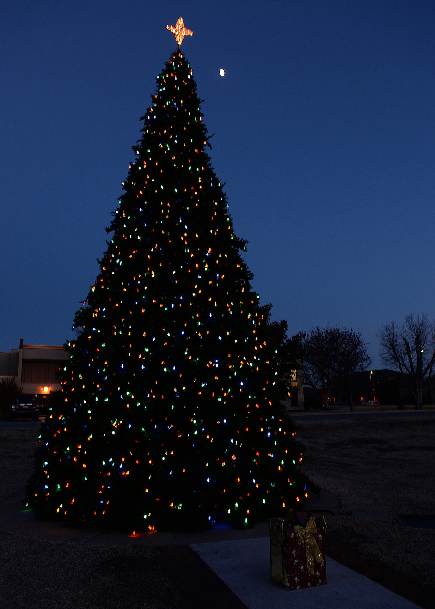 ALTUS AIR FORCE BASE, Okla. – The base Christmas tree glows in Wings of Freedom Park the tree lighting ceremony, Dec. 1, 2014.  The tradition of having a base tree lighting at Altus AFB goes back more than 30 years. (U.S. Air Force photo by Airman 1st Class Megan Acs/Released)