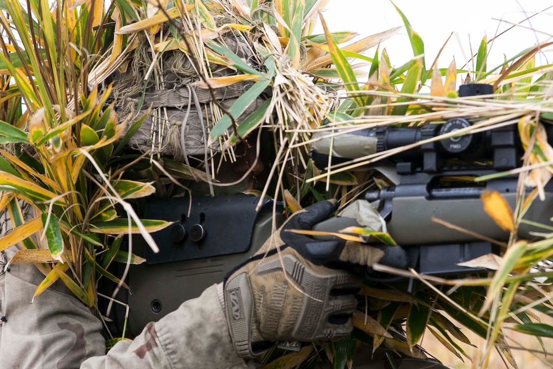 U.S. Marine Lance Cpl. Jonas G. Dewald demonstrates the effectiveness of a ghillie suit Dec. 2 in the Oyanohara Training Area in Yamato, Kumamoto prefecture, Japan. The concealment training was part of Forest Light 15-1, a semi-annual, bilateral exercise consisting of a command post exercise and field training events conducted by elements of III Marine Expeditionary Force and the Japan Ground Self-Defense Force to enhance the U.S. and Japan military partnership, solidify regional security agreements and improve individual and unit-level skills. Dewald, from Wilson, North Carolina, is a machine gunner with Weapons Company, 2nd Battalion, 9th Marine Regiment, currently attached to 4th Marine Regiment, 3rd Marine Division, III MEF, under the unit deployment program. 