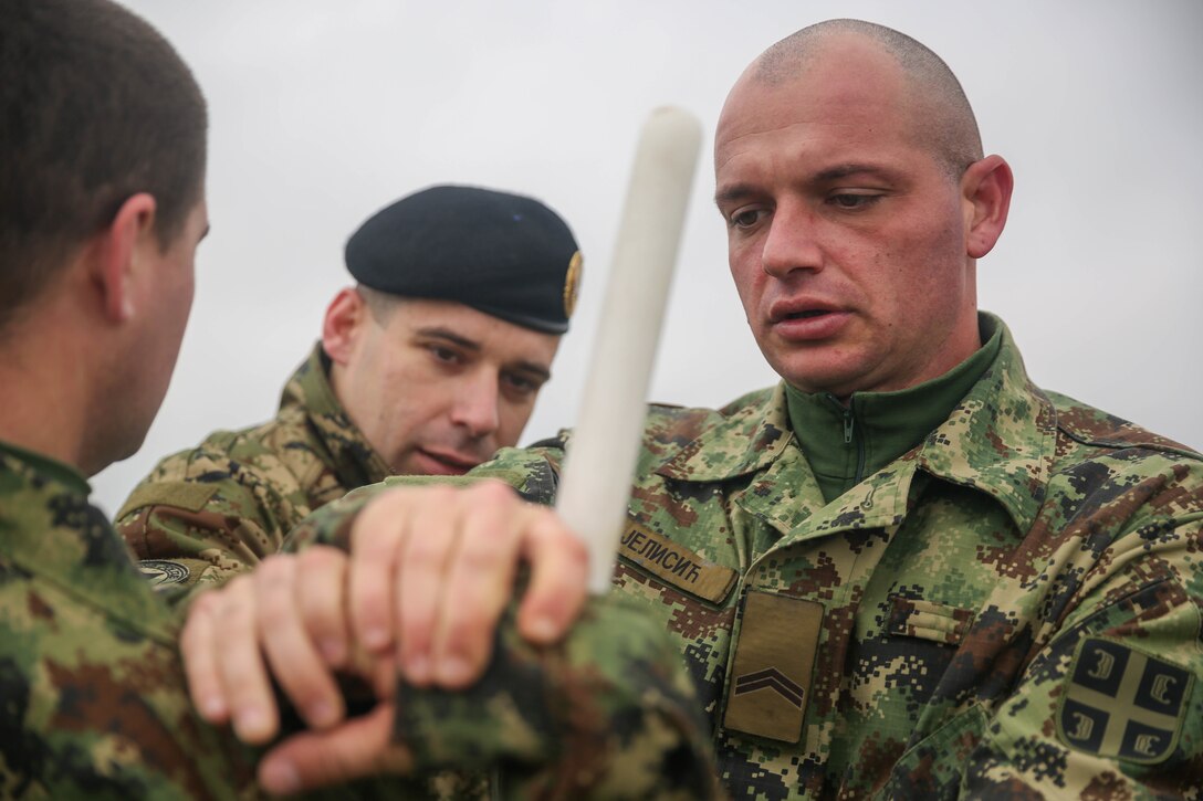 A Serbian soldier, participating in the non-lethal systems training course of exercise Platinum Wolf 15, uses a training baton to thwart an assault from an aggressor, Nov. 18 at South Base, Serbia. The technique is used to quickly subdue an individual and maintain control of a situation during peacekeeping missions. Platinum Wolf is a peacekeeping operations training-exercise focused on non-lethal systems and basic infantry skills. Units train together as coalitions, developing and improving proficiency of peacekeeping procedures like crowd and riot control. Forces from Bulgaria, Croatia, Macedonia, Romania, Serbia and the U.S. will be participating in the  two week training.