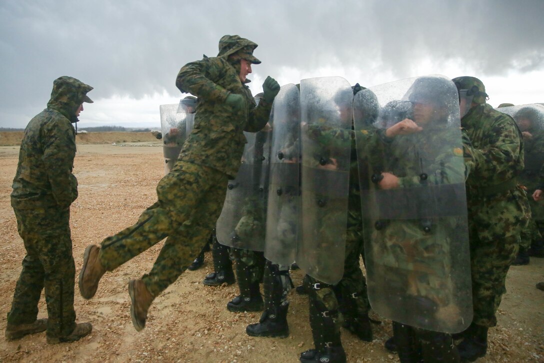 Marines attempt to break through a wall of Bulgarian and Serbian soldiers during the riot control course of Platinum Wolf 15 at South Base, Serbia Nov. 19. Platinum Wolf is a peacekeeping operations training exercise focused on non-lethal systems and basic infantry skills. Units train together as coalitions, developing and improving proficiency of peacekeeping procedures like crowd and riot control. Forces from Bulgaria, Croatia, Macedonia, Romania, Serbia and the U.S. will be participating in the two week training.
