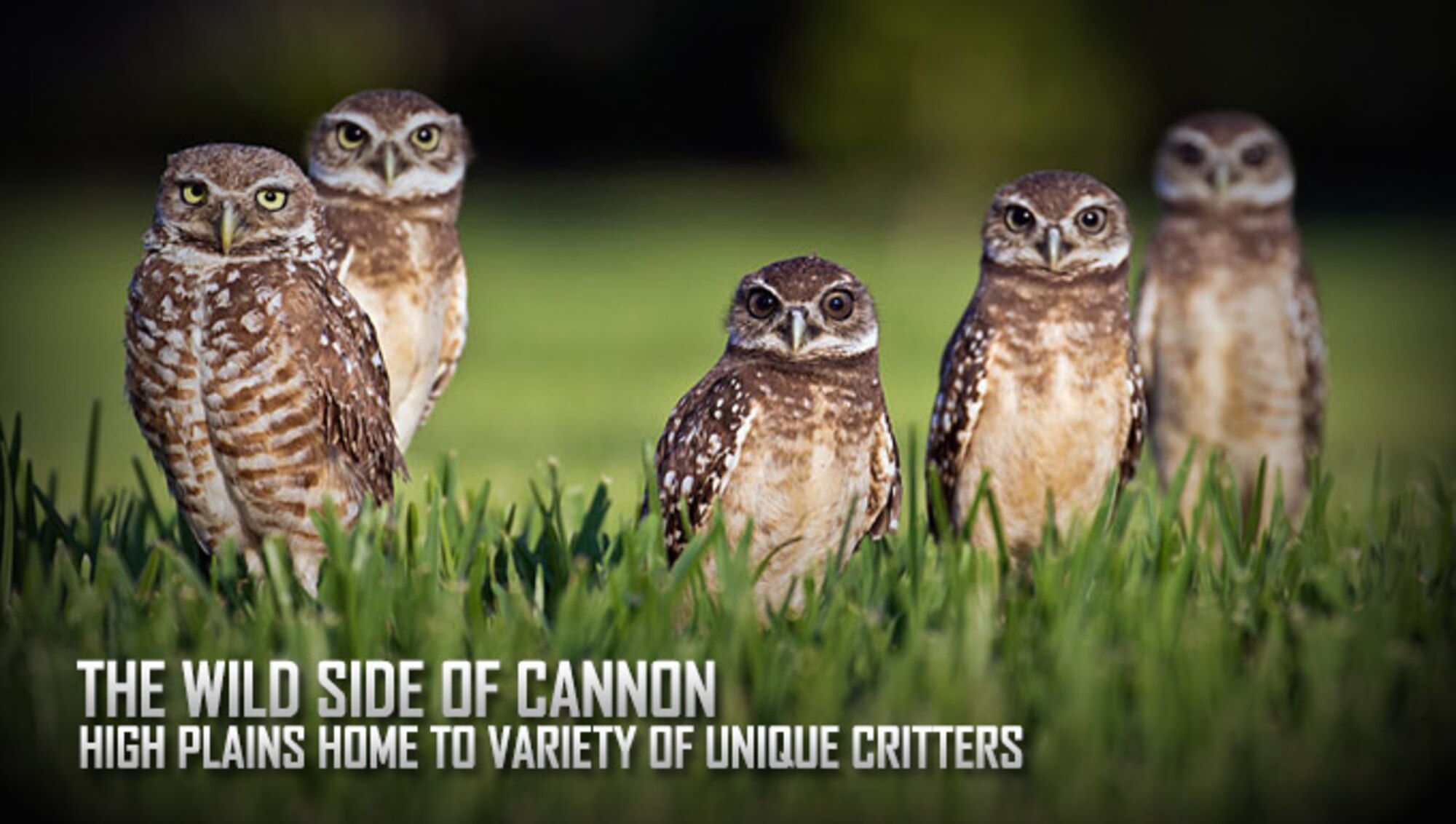 (U.S. Air Force graphic/Staff Sgt. Alexxis Mercer) 