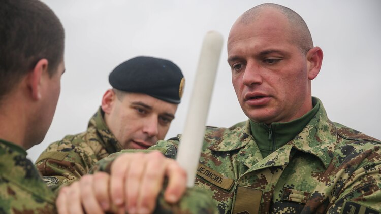 A Serbian soldier, participating in the non-lethal systems training course of exercise Platinum Wolf 15, uses a training baton to thwart an assault from an aggressor, Nov. 18 at South Base, Serbia. The technique is used to quickly subdue an individual and maintain control of a situation during peacekeeping missions. Platinum Wolf is a peacekeeping operations training-exercise focused on non-lethal systems and basic infantry skills. Units train together as coalitions, developing and improving proficiency of peacekeeping procedures like crowd and riot control. Forces from Bulgaria, Croatia, Macedonia, Romania, Serbia and the U.S. will be participating in the  two week training.