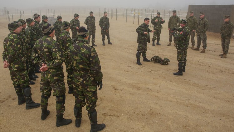 A Romanian soldier instructs an entry control point lesson and performs a search during exercise Platinum Wolf 15 at South Base, Serbia Nov. 19. Platinum Wolf 15 is a peacekeeping operations training exercise focused on non-lethal systems and basic infantry skills. Units train together as coalitions, developing and improving proficiency of peacekeeping procedures like crowd and riot control. Forces from Bulgaria, Croatia, Macedonia, Romania, Serbia and the U.S. will be participating in the two week training.