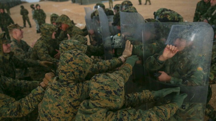 Marines attempt to break through a wall of Bulgarian and Serbian soldiers during the riot control course of Platinum Wolf 15 at South Base, Serbia, Nov. 19. Platinum Wolf is a peacekeeping operations training exercise focused on non-lethal systems and basic infantry skills. Units train together as coalitions, developing and improving proficiency of peacekeeping procedures like crowd and riot control. Forces from Bulgaria, Croatia, Macedonia, Romania, Serbia and the U.S. will be participating in the two week training.