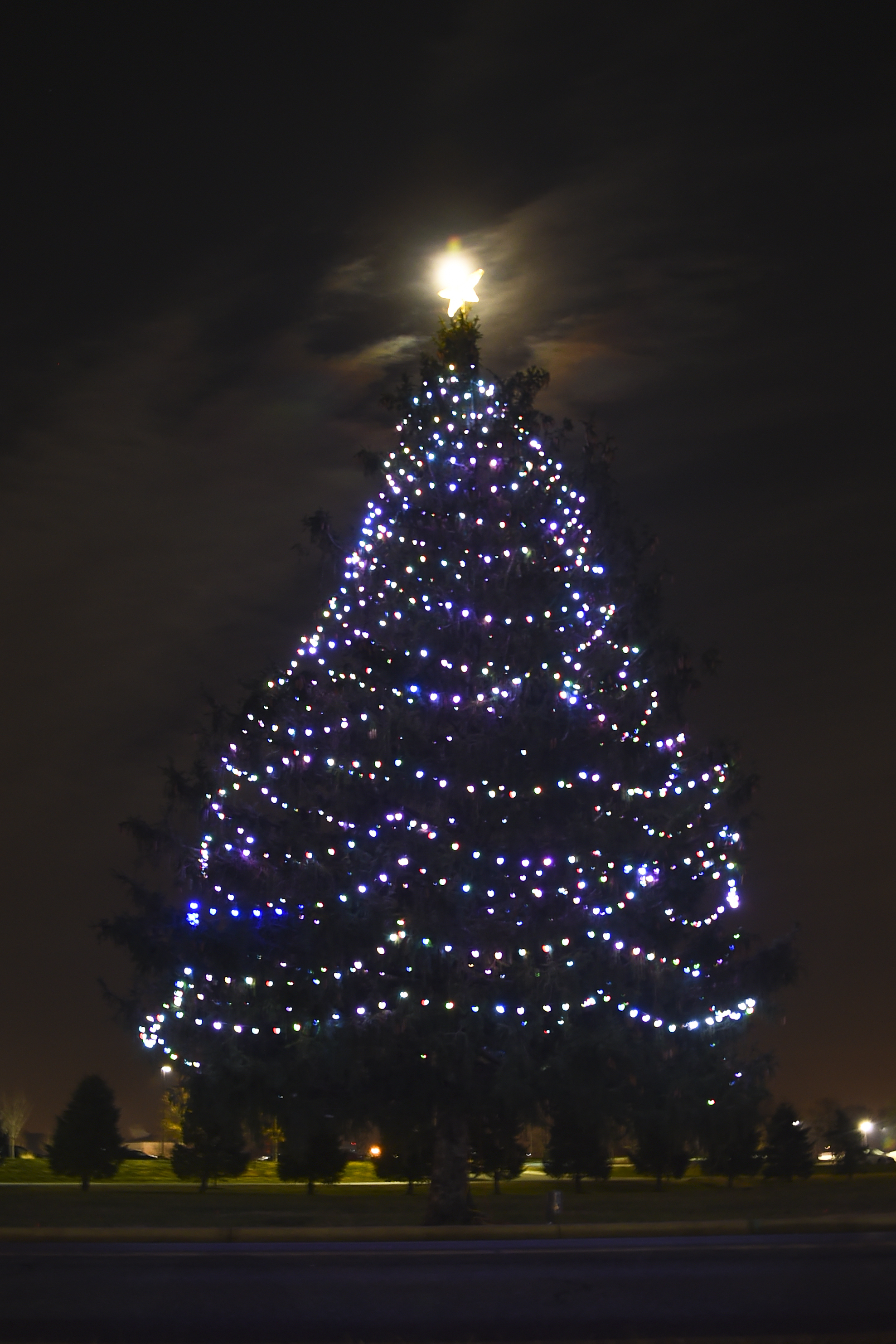 Tree Menorah Light Up Jba Joint Base Andrews Article Display