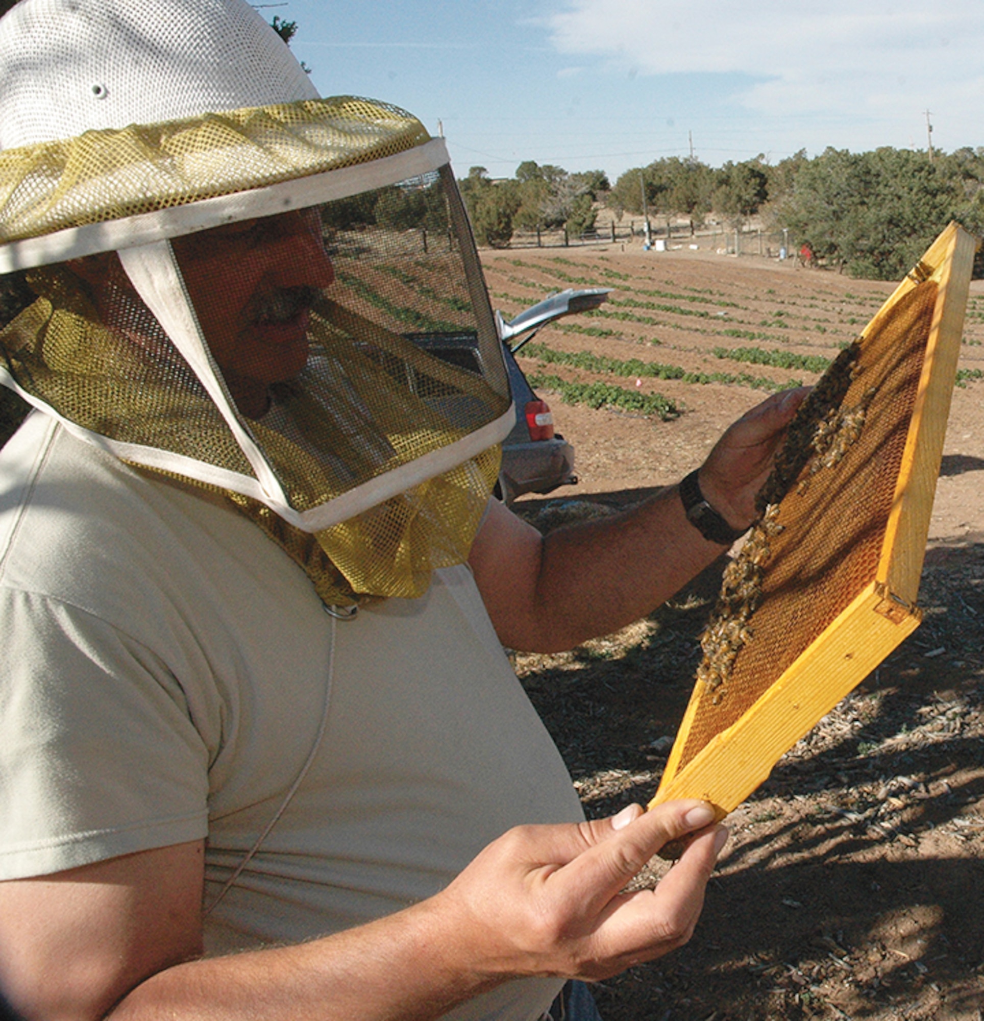 Chief Master Sgt. Craig Noorlander, New Mexico Air National Guard, checks on bees from one of his hives in Edgewood. (Courtesy photo)