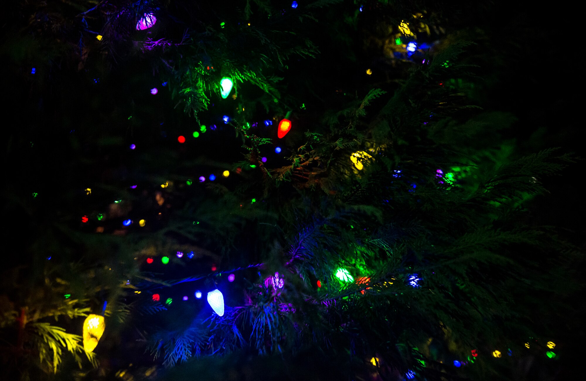 Colorful lights glow on the Joint Base Charleston – Air Base Christmas tree during the holiday tree lighting ceremony Dec. 3, 2014, at JB Charleston, S.C. Airmen, Sailors, civilians, families and friends gathered around the tree to sing carols, enjoy cookies, drink hot chocolate and to meet Santa Claus. (U.S. Air Force photo/Senior Airman Jared Trimarchi) 