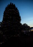 Airmen, Sailors, civilians, families and friends gather around the Joint Base Charleston Christmas tree Dec. 3, 2014, at JB Charleston, S.C.  (U.S. Air Force photo/Senior Airman Jared Trimarchi) 