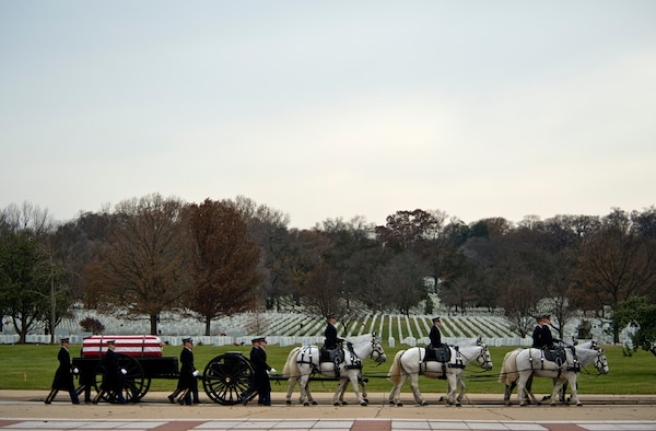 Members of the U.S. Army 1st Battallion 3rd Infantry, Caisson Platoon, carry the remains of U.S. Army Air Forces Sgt. Charles A. Gardner Dec. 4, 2014, in Arlington National Cemetery. Gardner, along with 11 of his fellow crew members, went missing on April 10, 1944, after his B-24D Liberator aircraft was shot down over New Guinea. (U.S. Air Force photo /Master Sgt. Jeffrey Allen) 