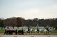 Members of the U.S. Army 1st Battallion 3rd Infantry, Caisson Platoon, carry the remains of Army Air Forces Sgt. Charles A. Gardner Dec. 4, 2014, in Arlington National Cemetery. Gardner, along with 11 of his fellow crew members, went missing on April 10, 1944, after his B-24D Liberator aircraft was shot down over New Guinea. (U.S. Air Force photo /Master Sgt. Jeffrey Allen) 