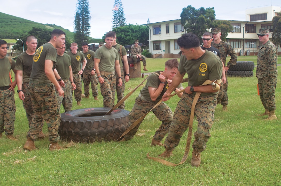 MARINE CORPS BASE HAWAII - A squad of Marines cheers on two of its members as they haul a large vehicle tire during the final competition of the Advanced Infantryman’s Course held Dec. 1, 2014. The class of 21 Marines included infantrymen from California. (U.S. Marine Corps photo by Christine Cabalo)
