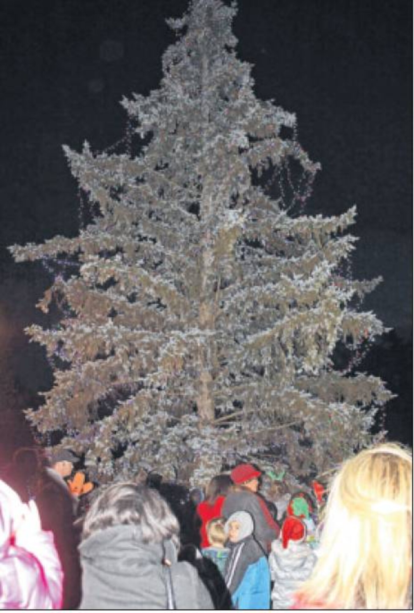 Following opening remarks by Col. John Devillier, 88th Air Base Wing commander, the crowd counted down to the lighting of the towering fir tree outside the Wright-Patt Club, which cut the darkness with a blaze of colorful lights. (Skywrighter photos by Tara Dixon Engel)