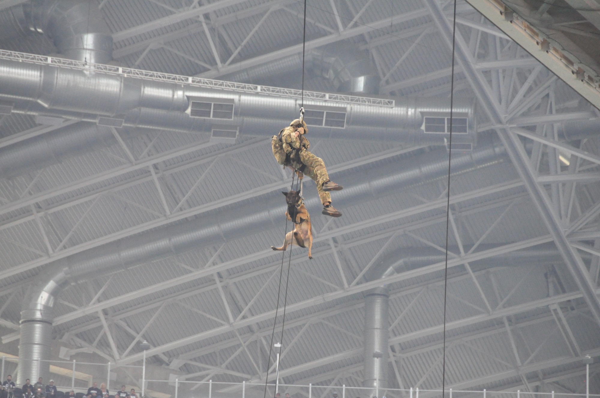 A Navy SEAL descends by fast rope from the large digital video screen to the 50-yard line at Dallas Cowboys stadium, where he delivered the official game coin for the coin toss before the Cowboys' Veterans Appreciation game in Arlington, Texas Nov. 2, 2014. More than 400 joint service military participants took the field to a standing ovation during pre-game and halftime events. Participants were primarily individuals assigned to various units located on Naval Air Station Joint Reserve Base, Fort Worth, Texas. (U.S. Air Force photo by Staff Sgt. Jeremy Roman)