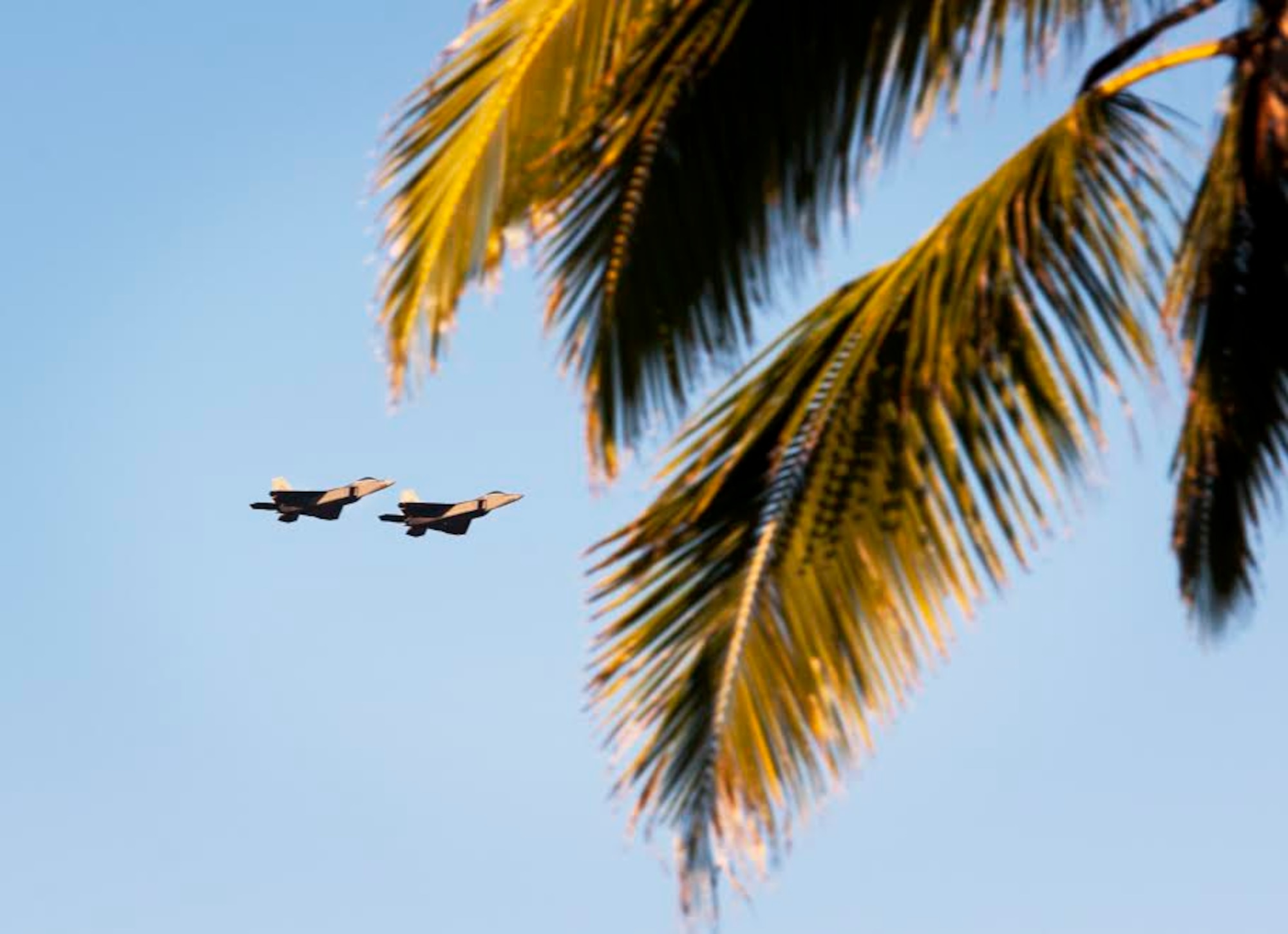 Two F-22 Raptors, assigned to the 199th Fighter Squadron, Hawaii Air National Guard, 19th Fighter Squadron, U.S. Air Force, conduct a flyover during the 73rd Anniversary Pearl Harbor Day commemoration ceremony at the Pearl Harbor Visitor Center, Hawaii, Dec. 7, 2014. More than 2,000 guests, including Pearl Harbor survivors and other veterans, attended the National Park Service and U.S. Navy-hosted joint memorial ceremony at the World War II Valor in the Pacific National Monument. This year's theme focused on "Preserving the Memory." (U.S. Navy photo by Mass Communication Specialist 2nd Class Diana Quinlan/Released)