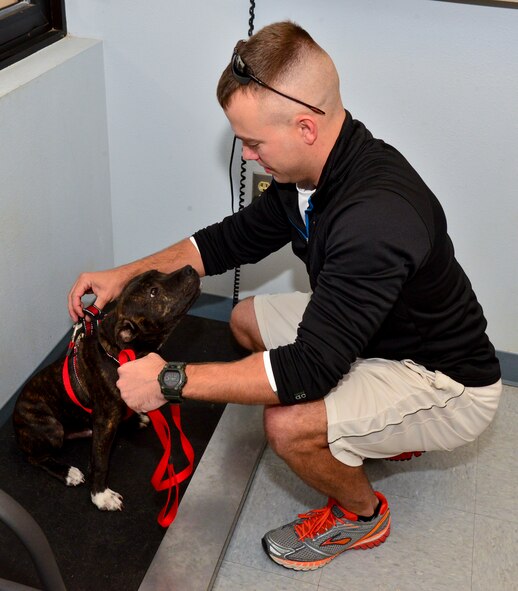 Staff. Sgt. Matthew Stoverink, 2nd Maintenance Squadron repair and reclamation craftsman, weigh his pet Rocco prior to a consultation on Barksdale Air Force Base, La., Dec. 3, 2014.  Barksdale?s veterinary clinic is one of only two military clinics accredited by the American Animal Hospital Association.  (U.S Air Force photo/Airman 1st Class Mozer O. Da Cunha)