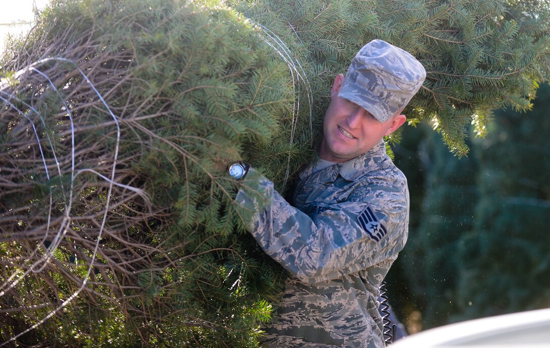 Staff Sgt. Joshua Hagemann, 28th Medical Group NCO in charge of ambulance services, selects a Christmas tree donated to the base by the Christmas SPIRIT foundation at Ellsworth Air Force Base, S.D., Dec. 5, 2014. More than 175 trees were donated for the Ellsworth Airmen and their families, with spouses of deployed Airmen picking out trees first and the remaining trees being made available to all other Airmen on a first-come, first-served basis. (U.S. Air Force photo by Senior Airman Zachary Hada/Released)
