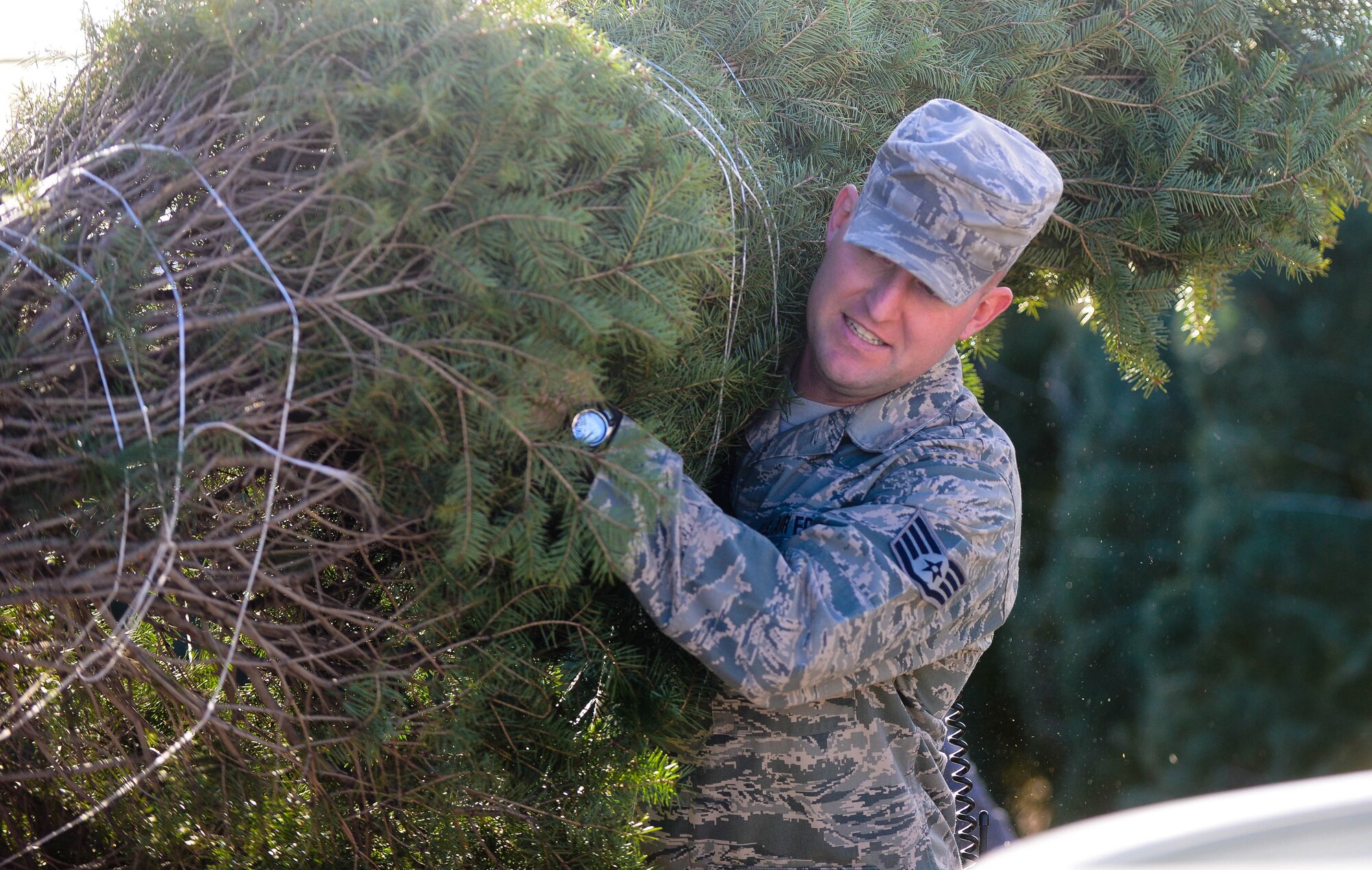 Staff Sgt. Joshua Hagemann, 28th Medical Group NCO in charge of ambulance services, selects a Christmas tree donated to the base by the Christmas SPIRIT foundation at Ellsworth Air Force Base, S.D., Dec. 5, 2014. More than 175 trees were donated for the Ellsworth Airmen and their families, with spouses of deployed Airmen picking out trees first and the remaining trees being made available to all other Airmen on a first-come, first-served basis. (U.S. Air Force photo by Senior Airman Zachary Hada/Released)