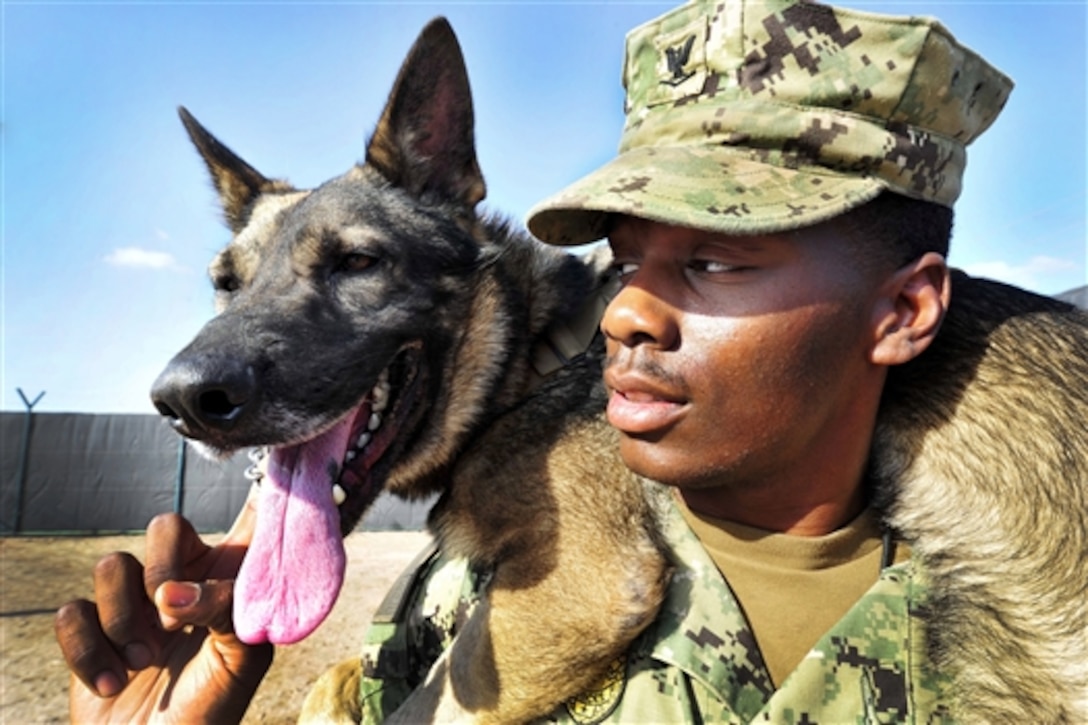U.S. Navy Petty Officer 3rd Class Vince Nicholford takes a moment to let Bery, his military working dog, rest on his shoulders on Camp Lemonnier, Djibouti, Dec. 5, 2014. Nicholford and Bery are assigned to security forces on Camp Lemonnier, where he is a master-at-arms.