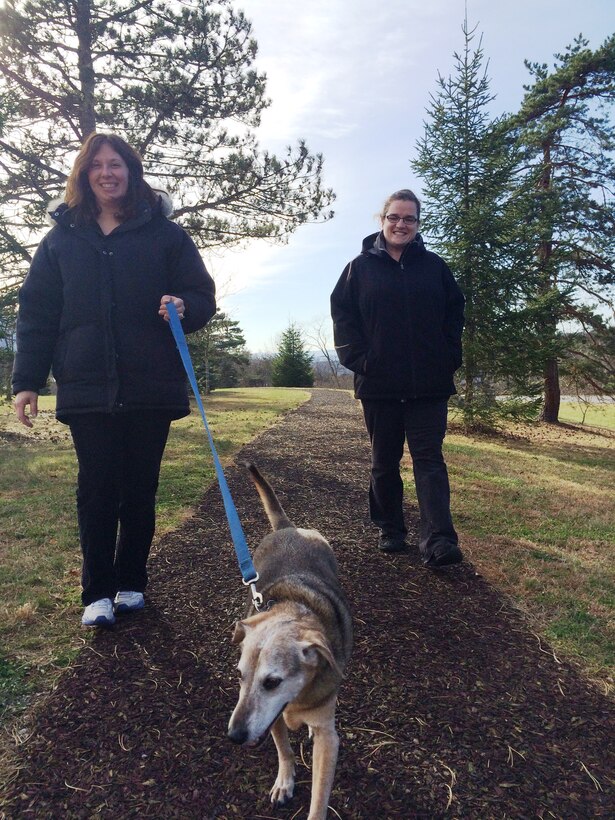 Come out to Raystown to walk your dog on the greenside trail during the winter months! 