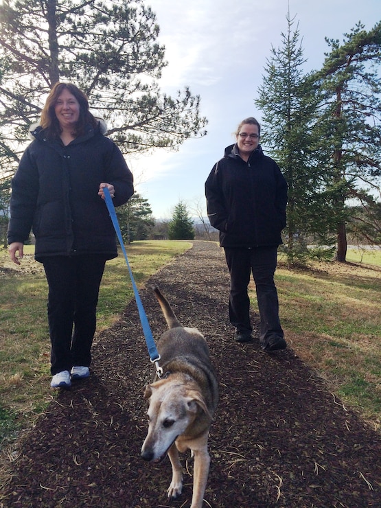 Come out to Raystown to walk your dog on the greenside trail during the winter months! 