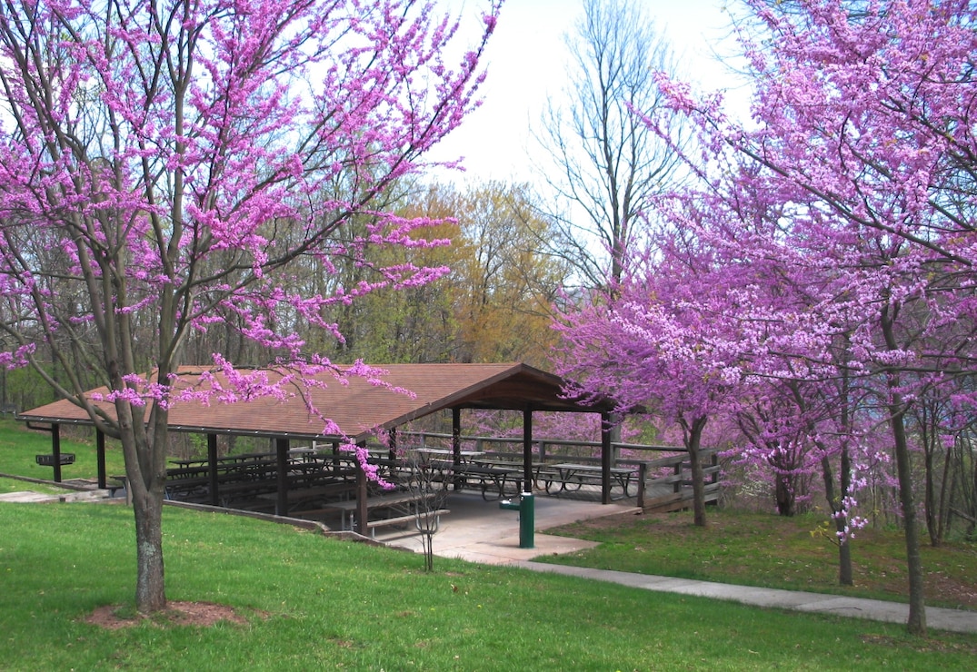 Call now to reserve your shade shelter for the 2015 spring/summer season!