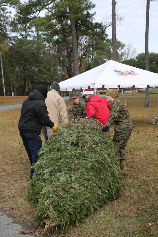 Volunteers drag an 11-foot tree into the grass during the annual Trees for Troops event at Marine Corps Air Station Cherry Point, N.C., Dec. 11, 2014. Trees for Troops is an annual event sponsored by Marine Corps Community Services, The National Christmas Tree Association, The Christmas Spirit Foundation and FedEx to distribute Christmas trees to service members and military families.