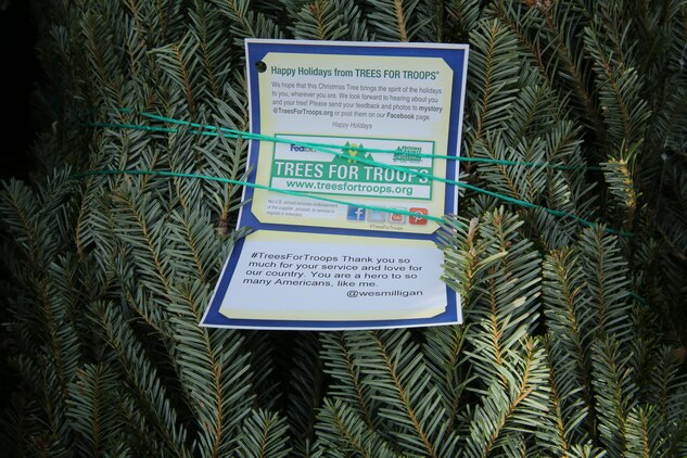 Trees for Troops spreads Christmas cheer at Cherry Point > Marine Corps Air Station Cherry Point ...