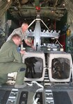 Master Sgt. John Jones and Master Sgt. Bo Heustess, both of the 169th
Fighter Wing at McEntire Joint National Guard Base, secure Kkaplan and
Sisko, two bomb and drug detection dogs from Lackland Air Force Base in
Texas for the flight to South Carolina March 18, 2010.