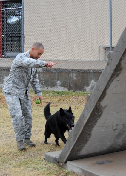 U.S. Air Force Staff Sgt. Andre Hernandez, 7th Security Forces Squadron K-9 handler, goes through different obstacles with his dog, Ivan, Nov. 14, 2014, at Dyess Air Force Base, Texas. Most of Hernandez and Ivan’s days are spent training on their course, working on commands and obedience, providing security and explosive and narcotic deterrence for the base. (U.S. Air Force photo by Senior Airman Shannon Hall/Released)