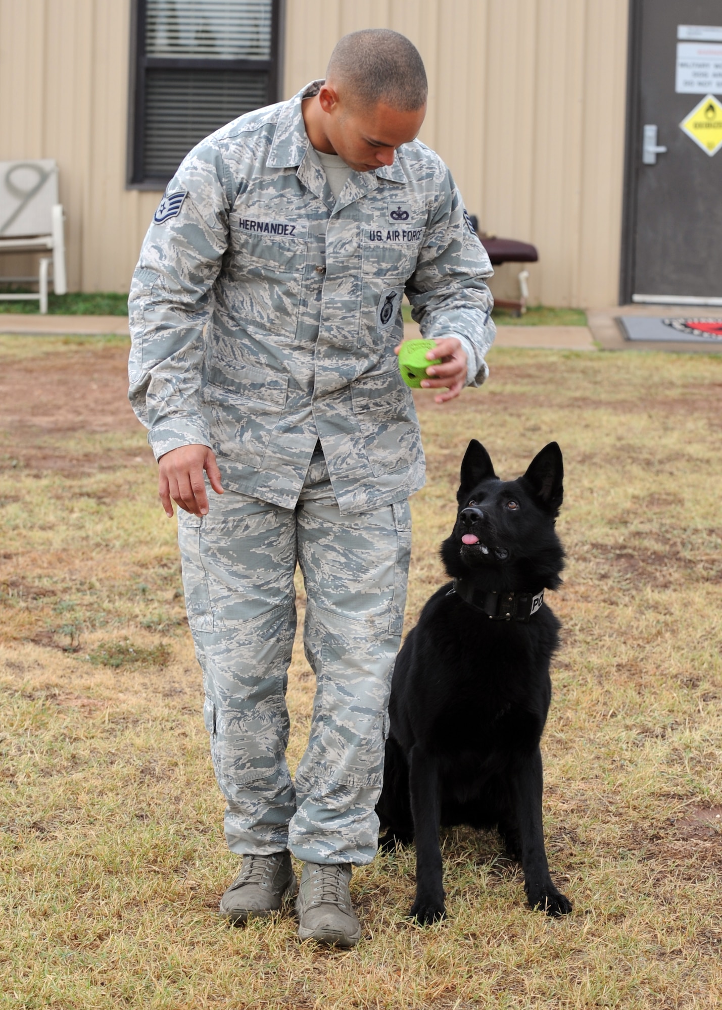 U.S. Air Force Staff Sgt. Andre Hernandez, 7th Security Forces Squadron K-9 handler, works on obedience training with his dog, Ivan, Nov. 14, 2014, at Dyess Air Force Base, Texas. Hernandez and Ivan are currently receiving special regional training at Ft. Bliss in El Paso, Texas. Once they complete training, they will deploy to Southwest Asia. (U.S. Air Force photo by Senior Airman Shannon Hall/Released) 