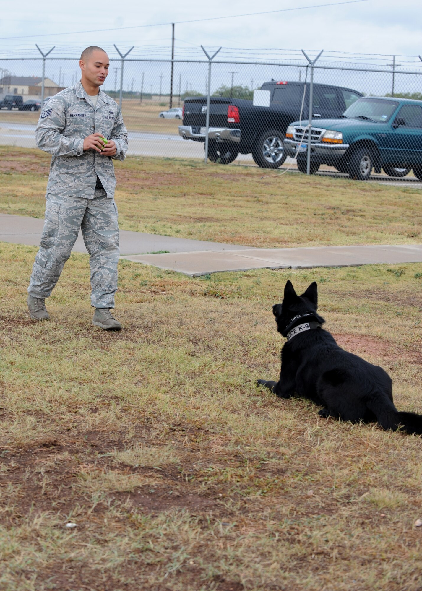U.S. Air Force Staff Sgt. Andre Hernandez, 7th Security Forces Squadron K-9 handler, trains with his dog, Ivan, Nov. 14, 2014, at Dyess Air Force Base, Texas. To become a handler, security forces Airmen must apply for a re-train, ensure they have adequate enlisted performance reports, receive recommendations from their leadership and pass a physical exam. (U.S. Air Force photo by Senior Airman Shannon Hall/Released)