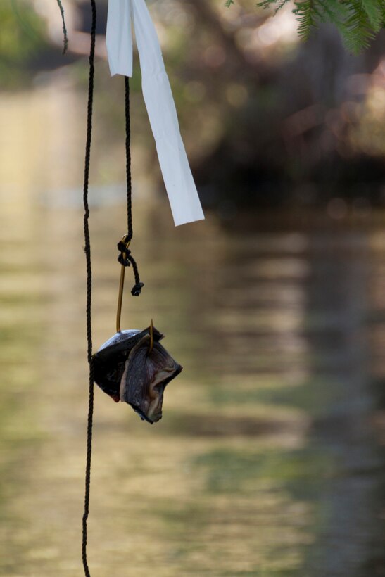 A hook is ready for an unwitting alligator to take its bait at Chicot State Park in Ville Platte, La., Sept. 4, 2014.   This alligator season, Wounded War Heroes of Lousiana and Master Sgt. Darryl Moore, 307th Force Support Squadron first sergeant, teamed up to coordinate a special hunt for wounded veterans.   Although this bait never did lure an alligator, plenty of others did.  The grateful veterans bagged dozens of alligators in the Louisiana waterways over the course of two days.    (U.S. Air Force photo by Tech. Sgt. Ted Daigle/Released)